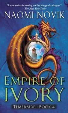 Naomi Novik Empire of Ivory обложка книги