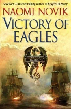 Naomi Novik Victory of Eagles обложка книги