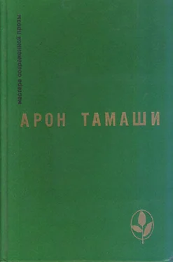 Арон Тамаши Птичка-невеличка обложка книги