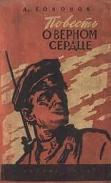 Александр Кононов На Двине-Даугаве обложка книги