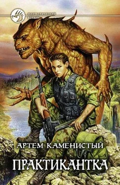 Артём Каменистый Практикантка обложка книги