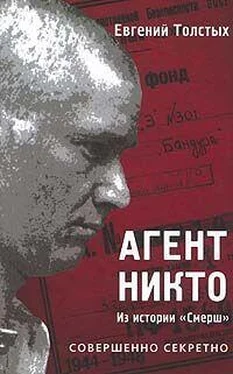 Евгений Толстых Агент «Никто»: из истории «Смерш» обложка книги