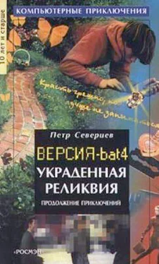 Петр Северцев Украденная реликвия обложка книги