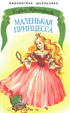 Софья Прокофьева Маленькая принцесса обложка книги