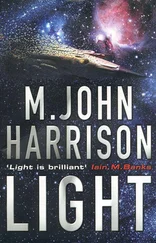 M. Harrison - LIGHT