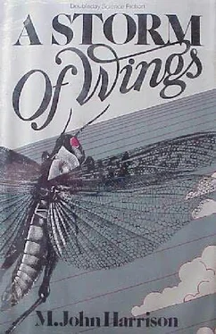 M. Harrison A Storm of Wings обложка книги