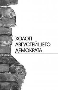 Валерий Казаков Холоп августейшего демократа обложка книги