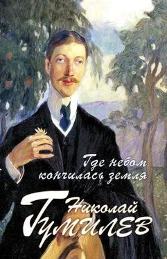Николай Гумилев Где небом кончилась земля : Биография. Стихи. Воспоминания