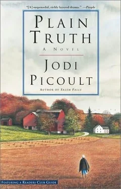 Jodie Picoult Plain Truth обложка книги