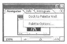 Рис В5 Опция Dock to Palette Well Вкладка Info На этой вкладке - фото 10