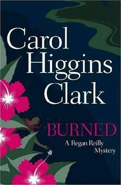 Carol Clark Burned обложка книги