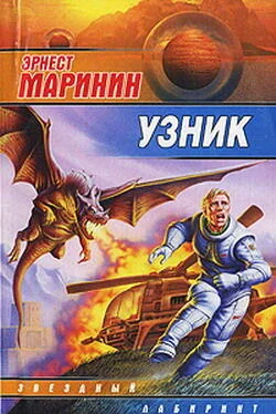 Эрнест Маринин Воспрещается обложка книги