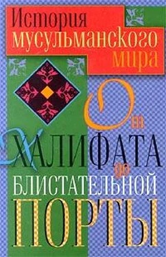 Татьяна Ирмияева История мусульманского мира от Халифата до Блистательной Порты обложка книги