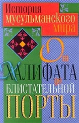 Татьяна Ирмияева - История мусульманского мира от Халифата до Блистательной Порты