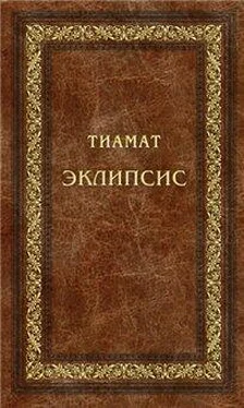 Тиамат Эклипсис обложка книги