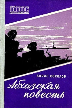 Борис Соколов Абхазская повесть. (Художник С. Бродский) обложка книги