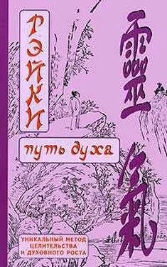 Дмитрий Окунев РЭЙКИ-Путь духа обложка книги