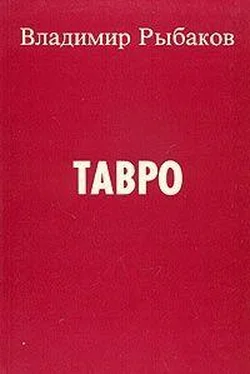 Владимир Рыбаков Тавро обложка книги