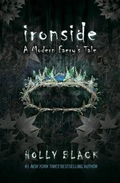 Holly Black Ironside обложка книги