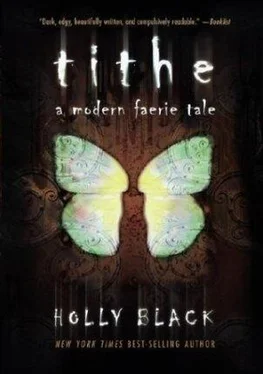 Holly Black Tithe обложка книги