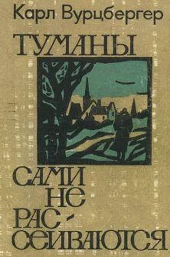 Карл Вурцбергер Туманы сами не рассеиваются обложка книги