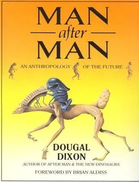 Дугал Диксон Человек после человека обложка книги