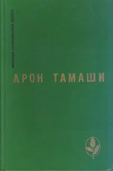 Арон Тамаши - «Патриоты»