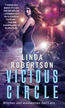 Linda Robertson Vicious Circle обложка книги