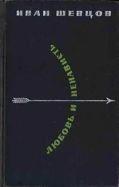 Иван Шевцов Любовь и ненависть обложка книги