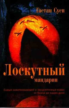 Гаетан Суси Лоскутный мандарин обложка книги