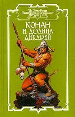 Терри Донован Долина дикарей обложка книги