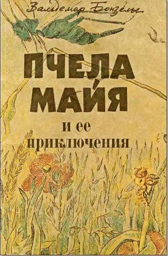 Вальдемар Бонзельс Пчела Майя и ее приключения