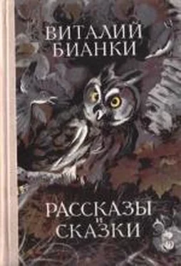 Виталий Бианки Собрание сочинений. Том 1. Рассказы и сказки обложка книги