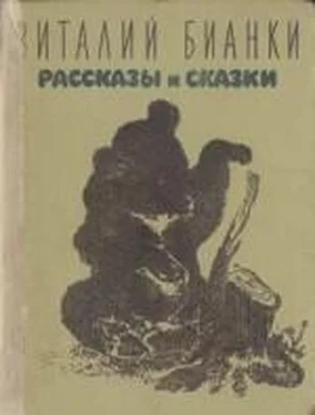 Виталий Бианки Рассказы и сказки с иллюстрациями обложка книги