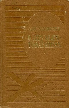 Олег Селянкин О друзьях-товарищах обложка книги