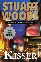 Stuart Woods - Kisser