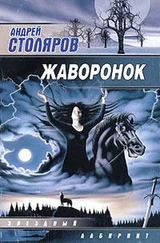 Андрей Столяров - Жаворонок