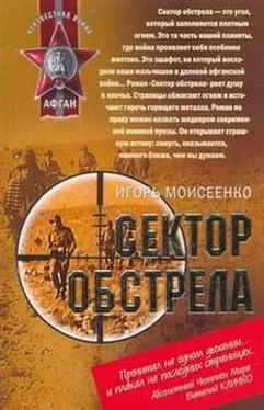 Игорь Моисеенко Сектор обстрела обложка книги