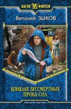 Виталий Зыков Конклав Бессмертных. Проба сил обложка книги