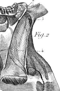 FOLIO II Residua SEVEN You Have Failed Me I did not know what to - фото 11