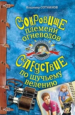 Владимир Сотников Сокровище племени огневодов обложка книги