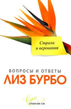 Лиз Бурбо Страхи и верования обложка книги