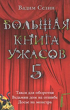 Вадим Селин Ведьмин дом на отшибе обложка книги