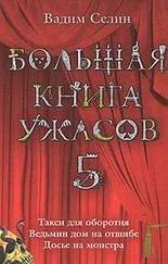 Вадим Селин - Ведьмин дом на отшибе