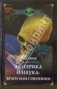 Андрей Скляров Основы физики духа обложка книги