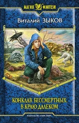 Виталий Зыков - Конклав бессмертных. В краю далёком