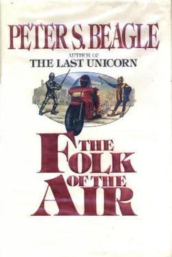 Peter Beagle The Folk Of The Air обложка книги