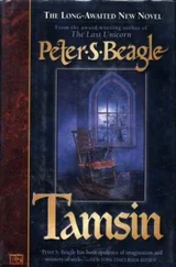 Peter Beagle - Tamsin
