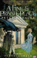 Peter Beagle - A Fine and Private Place