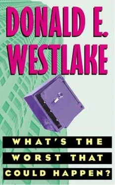 Donald Westlake What's The Worst That Could Happen? обложка книги